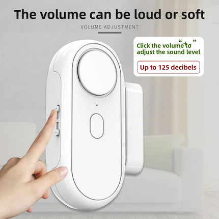 Door and window alarm