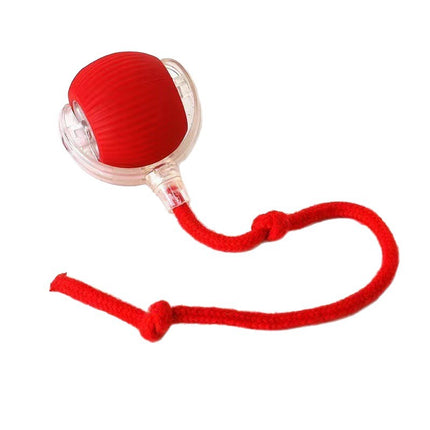 Automatic Interactive Cat Toy Ball with Sound